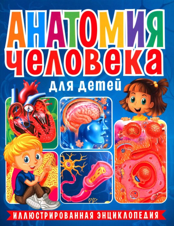 Анатомия человека для детей. Иллюстрированная энциклопедия Анатомия человека для детей. Иллюстрированная энциклопедия