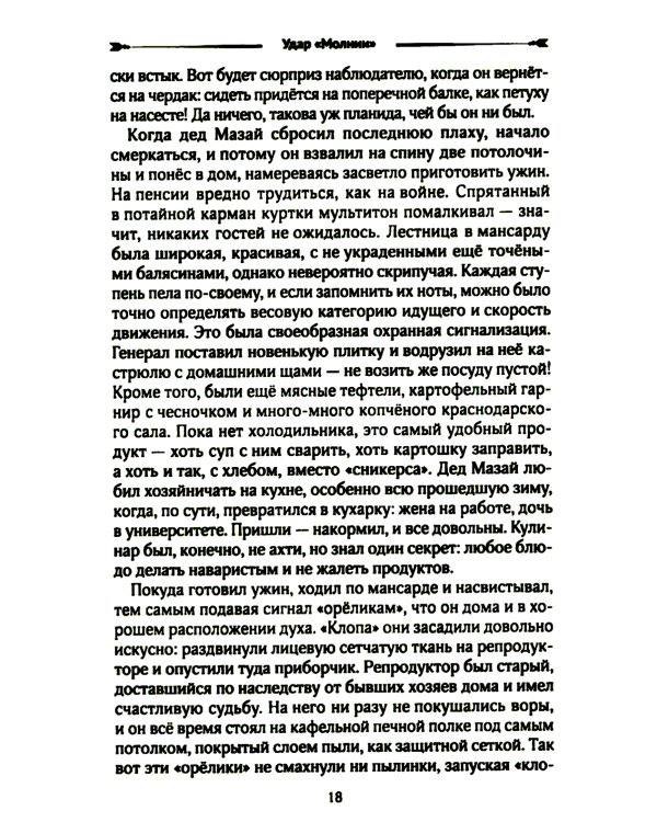 Удар "Молнии": роман