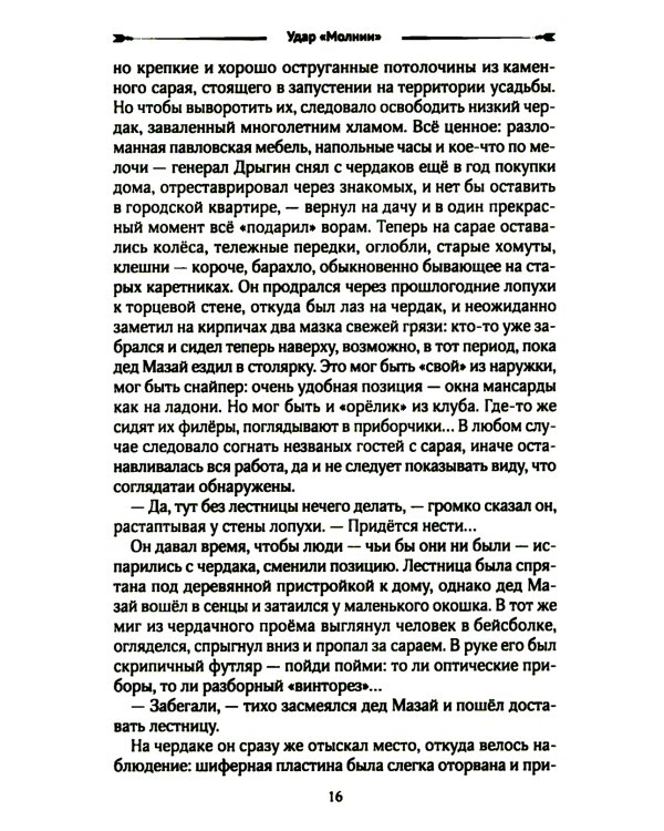 Удар "Молнии": роман