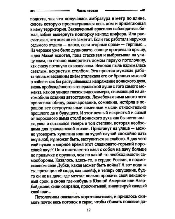 Удар "Молнии": роман