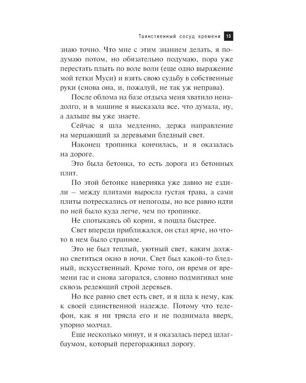 Таинственный сосуд времени: роман
