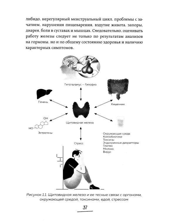 Ось щитовидка - кишечник. Как вылечить щитовидную железу, улучшив состояние кишечной микробиоты