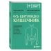 Ось щитовидка - кишечник. Как вылечить щитовидную железу, улучшив состояние кишечной микробиоты