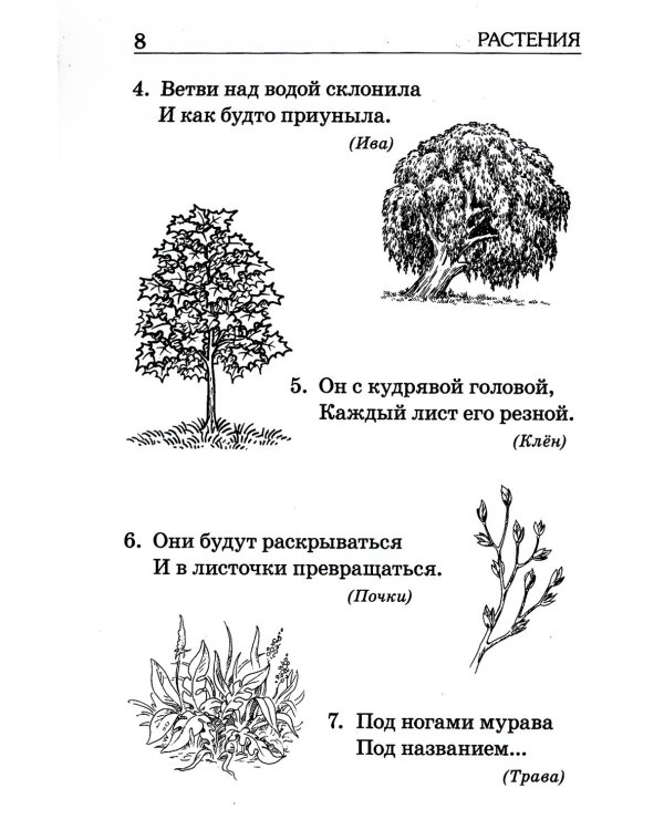 Отгадайка-ка. Стихотворные загадки для детей 4-7 лет