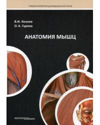 Анатомия мышц: Учебное пособие
