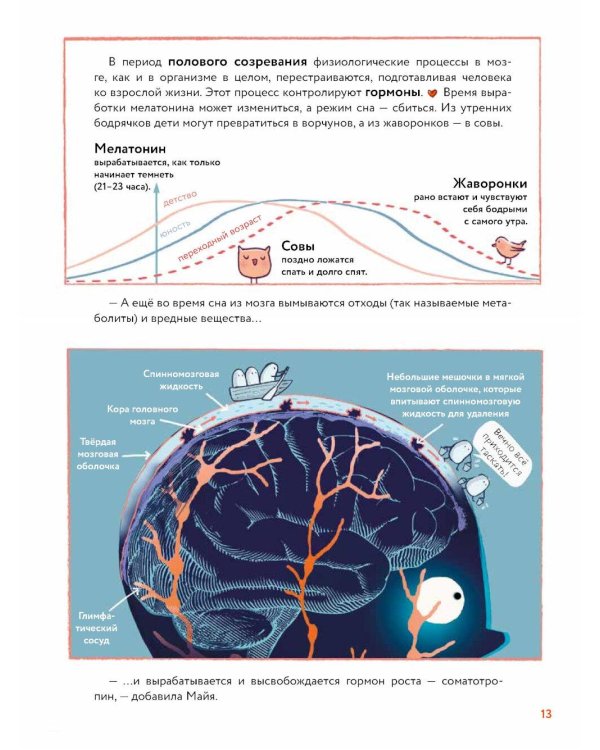 Что такое человек? Записки любознательного хомяка