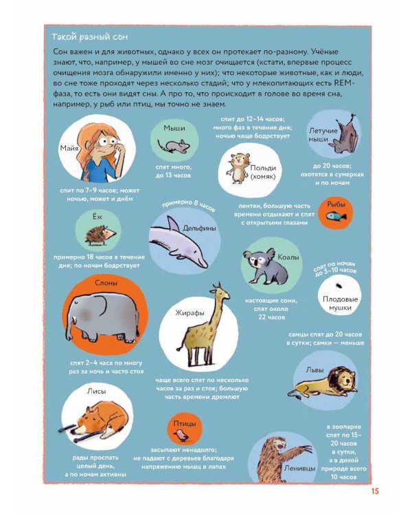 Что такое человек? Записки любознательного хомяка