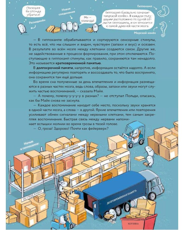 Что такое человек? Записки любознательного хомяка