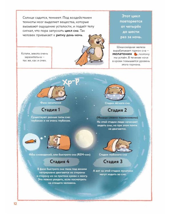 Что такое человек? Записки любознательного хомяка