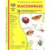 Демонстрационные картинки. Насекомые. 16 демонстрационных картинок с текстом на обороте