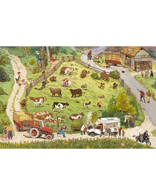 За городом. История в картинках