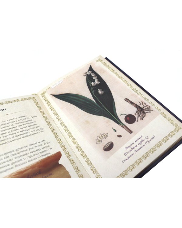 Дополнительное изображение книги «"Тайные знания магического Средневековья". Сборный комплект в коробе из 3-х книг»
