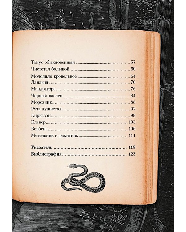 Дополнительное изображение книги «"Тайные знания магического Средневековья". Сборный комплект в коробе из 3-х книг»