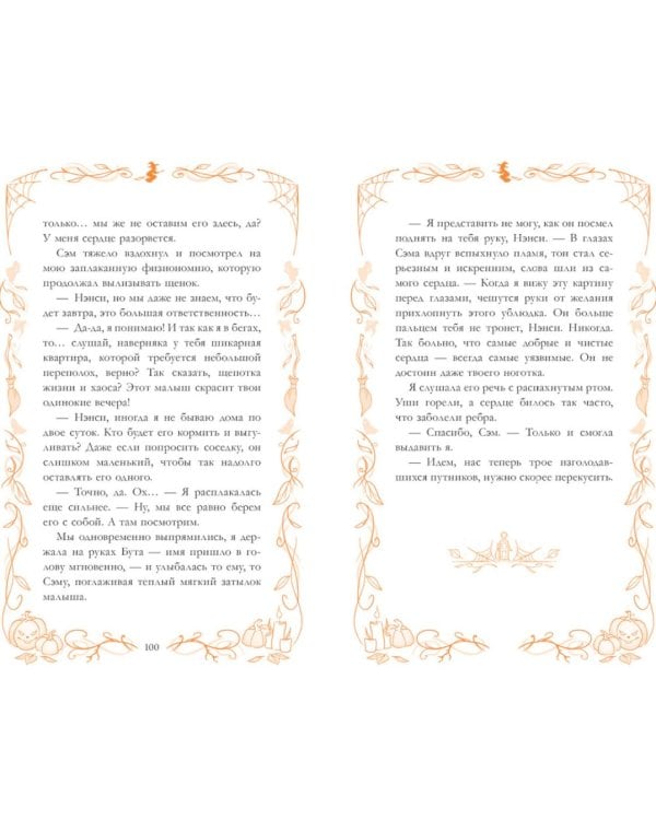 Дополнительное изображение книги «Попутчик»