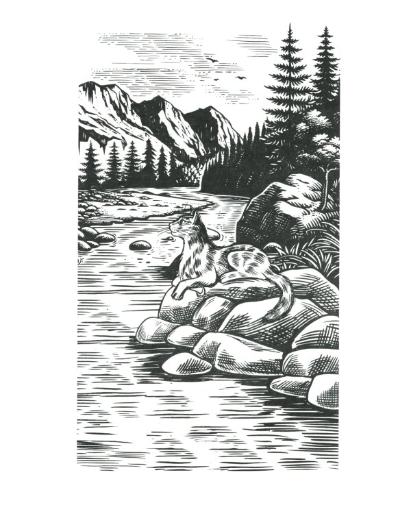 Коты-воители. Нерассказанные истории. Долг Ярохвоста: сборник