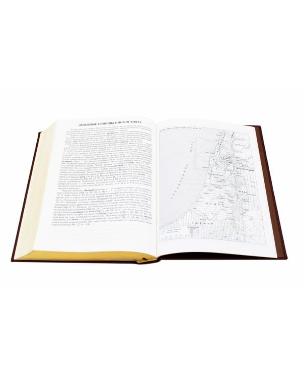 Библия. Книги Священного Писания Ветхого и Нового Завета (золотой обрез)