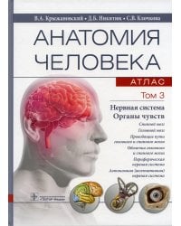 Анатомия человека. Атлас. В 3 т. Т. 3: Нервная система. Органы чувств: Учебное пособие