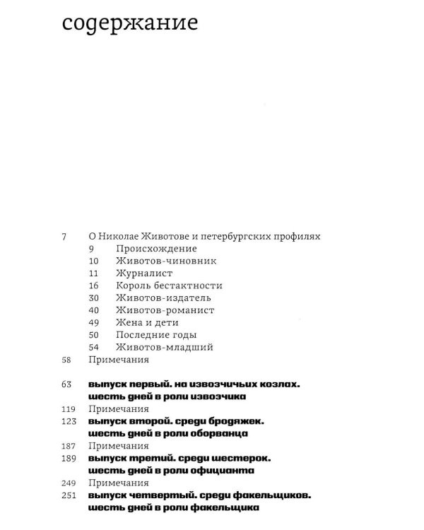 Дополнительное изображение книги «Петербургские профили. Извозчики, официанты, бродяжки, факельщики»