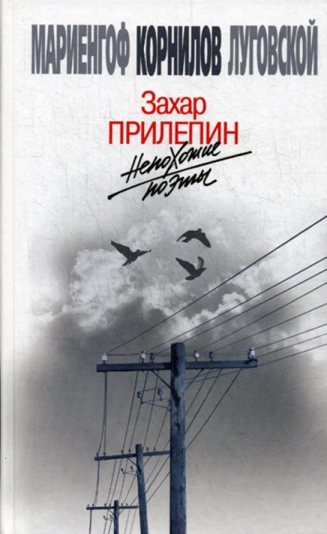 Непохожие поэты. Трагедия и судьбы большевистской эпохи: Анатолий Мариенгоф. Борис Корнилов. Владимир Луговской