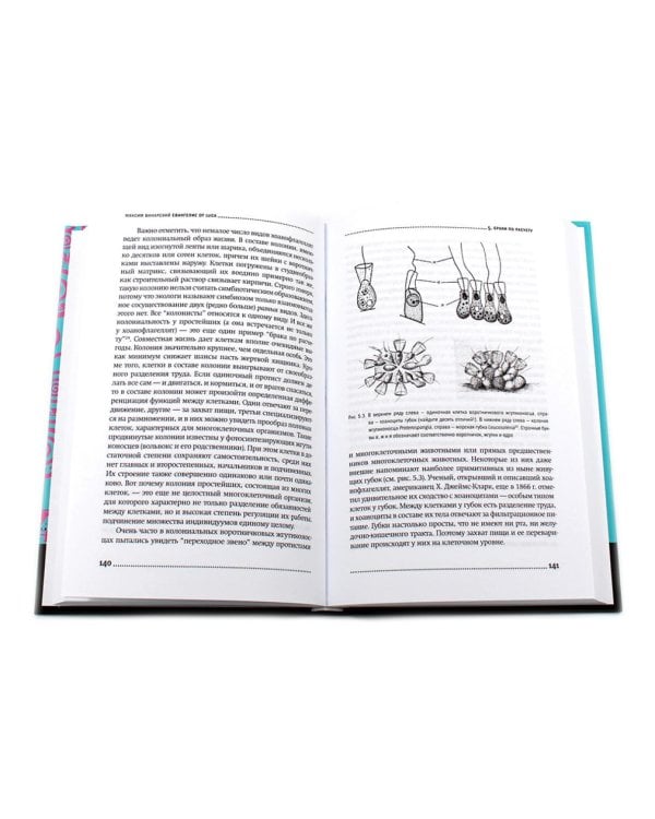 Ошибки природы; Евангелие от LUCA: В поисках родословной животного мира (комплект из 2-х книг)