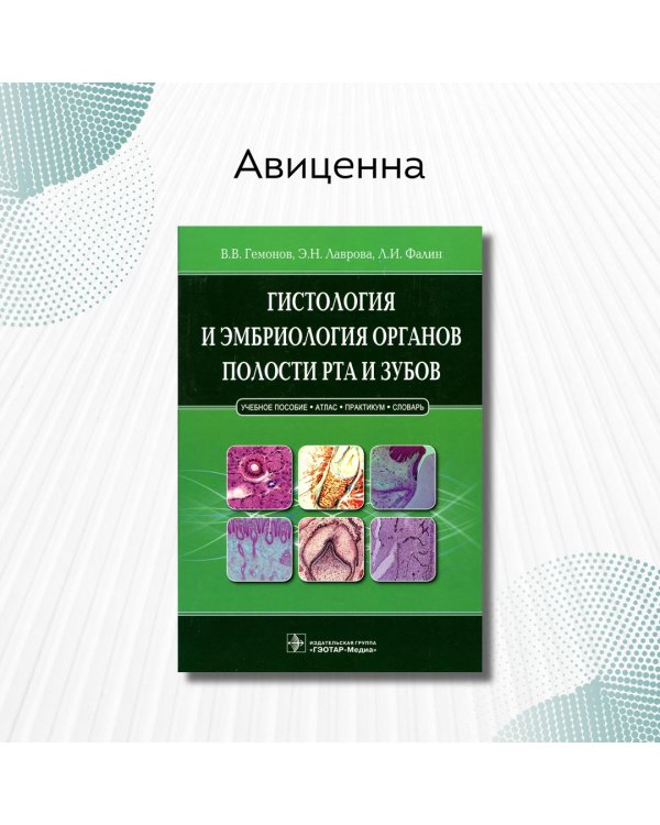 Гистология и эмбриология органов полости рта и зубов. Учебное пособие