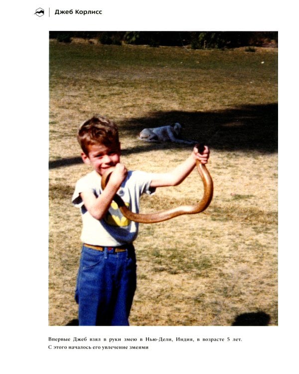 Жизнь на грани. Между этим светом и тем