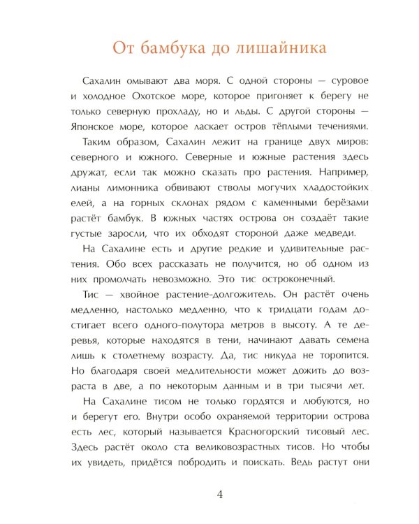 Сахалин. Самый большой остров в России