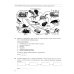 ОГЭ. Тесты от разработчиков ОГЭ 2025. Биология. 12 вариантов. Типовые варианты экзаменационных заданий от разработчиков ОГЭ