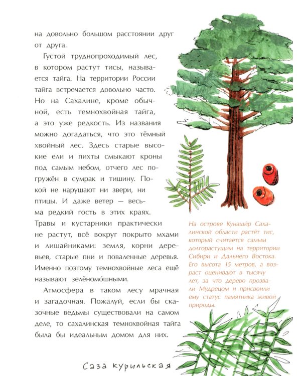 Сахалин. Самый большой остров в России