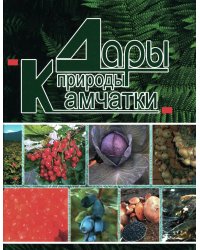 Дары природы Камчатки. 3-е изд