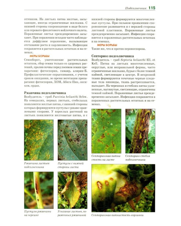 Болезни и вредители овощных культур. Атлас-определитель