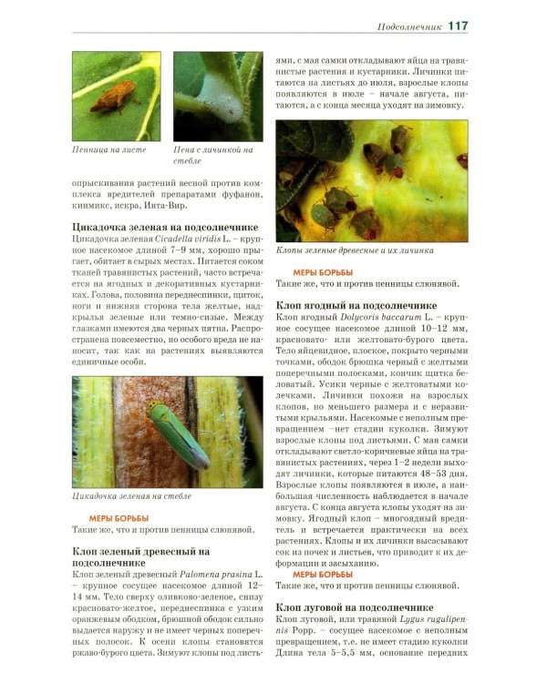 Болезни и вредители овощных культур. Атлас-определитель