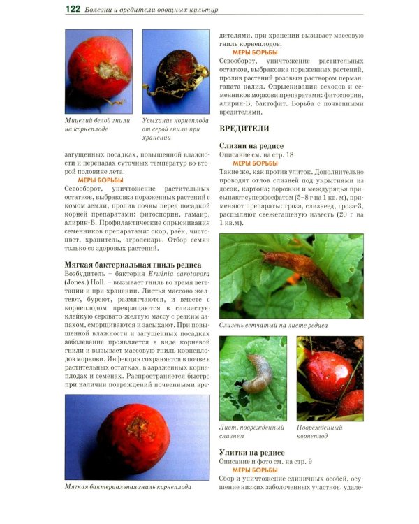 Болезни и вредители овощных культур. Атлас-определитель