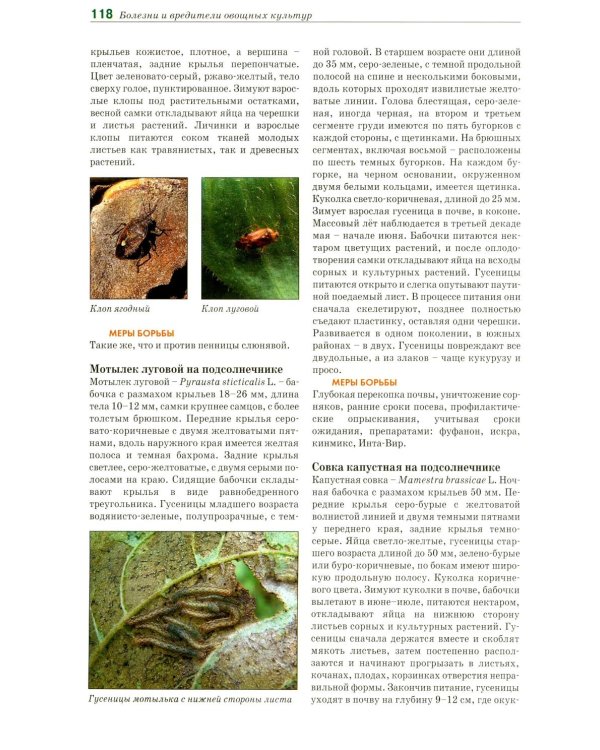 Болезни и вредители овощных культур. Атлас-определитель
