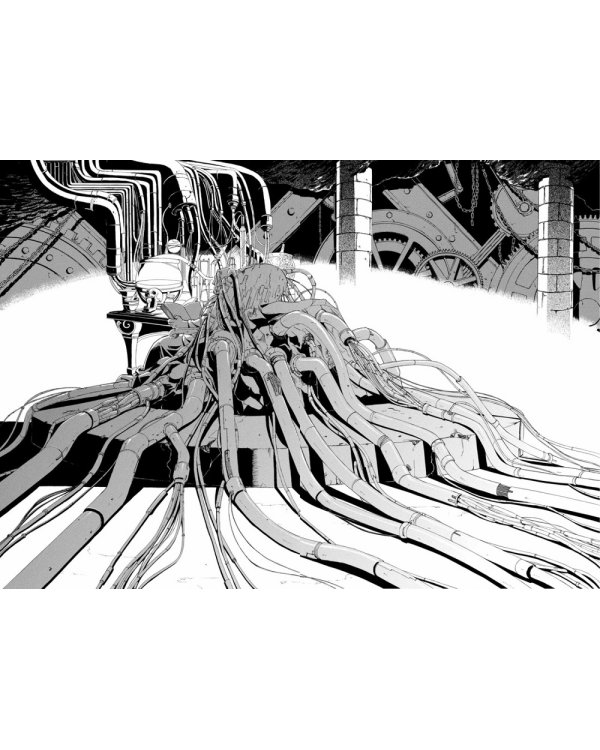 Стальной Алхимик. Кн. 6: манга