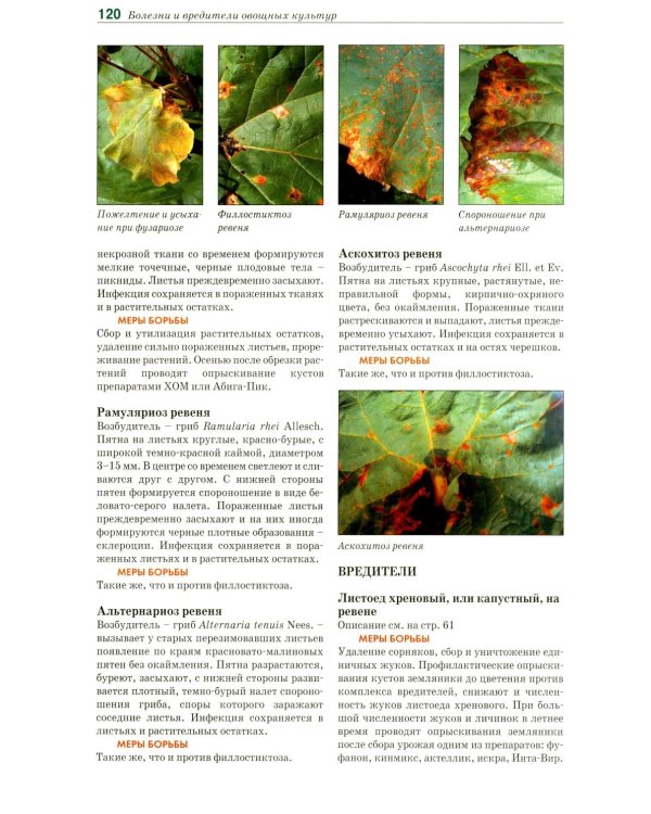 Болезни и вредители овощных культур. Атлас-определитель