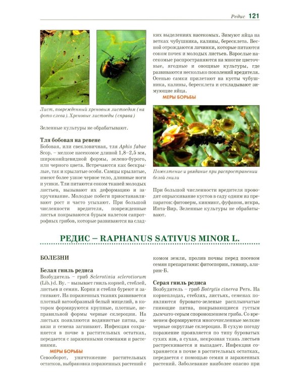 Болезни и вредители овощных культур. Атлас-определитель