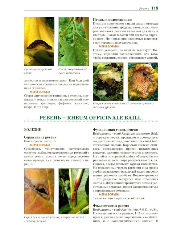 Болезни и вредители овощных культур. Атлас-определитель