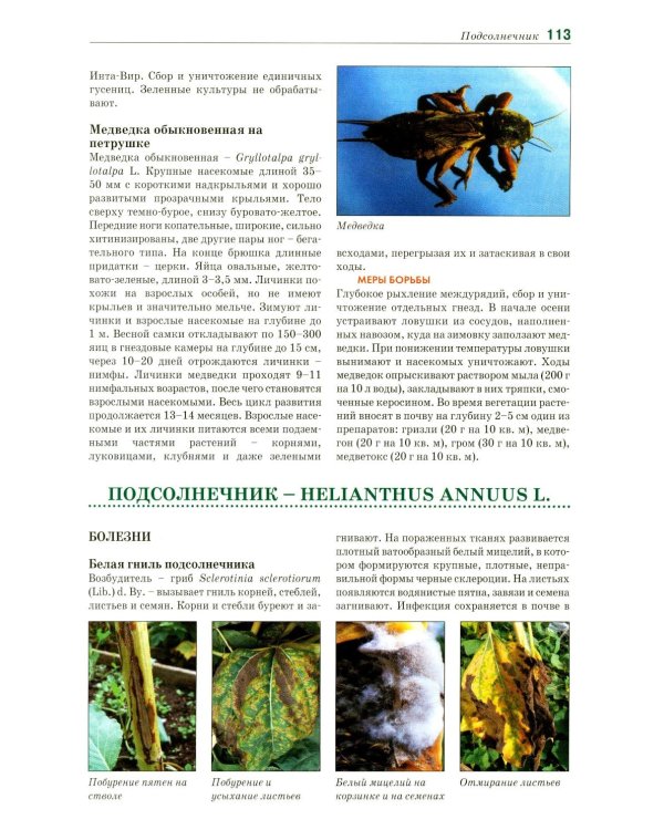 Болезни и вредители овощных культур. Атлас-определитель