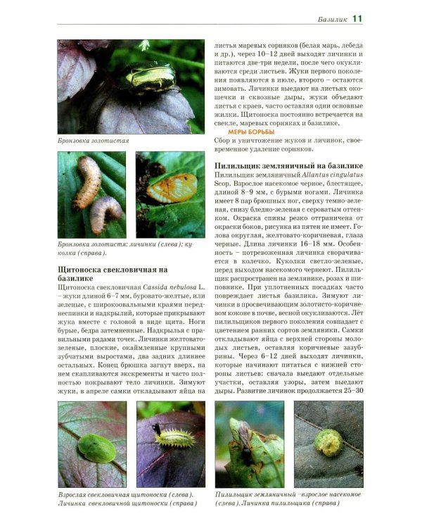 Болезни и вредители овощных культур. Атлас-определитель