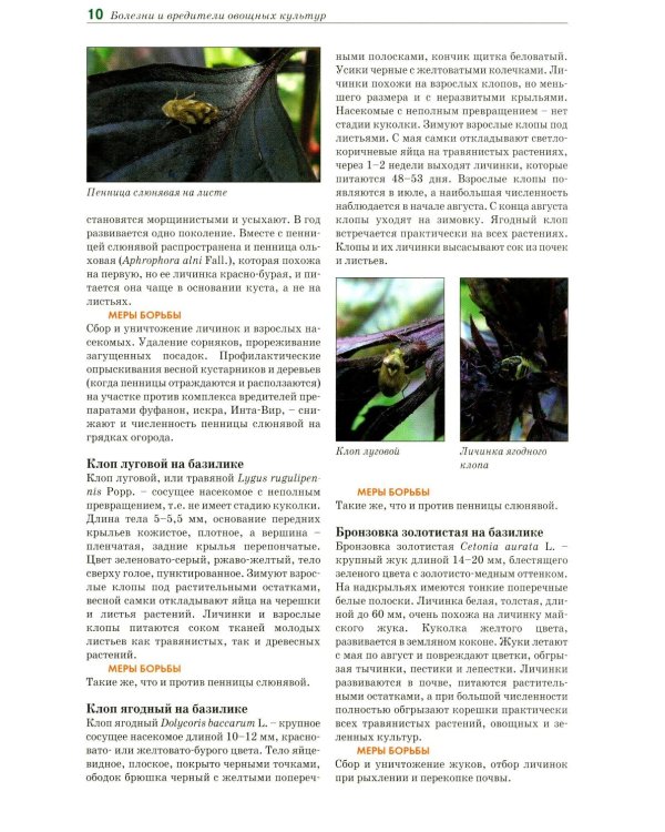 Болезни и вредители овощных культур. Атлас-определитель