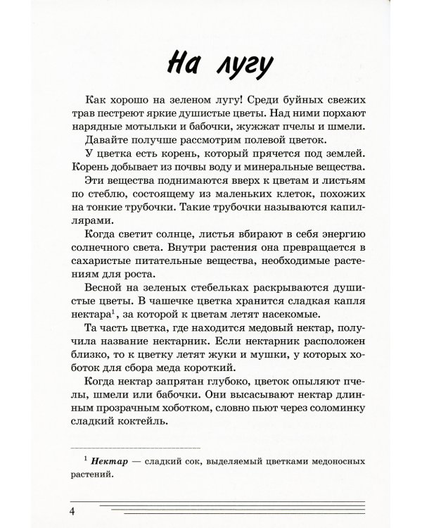 Цветы. Какие они? Книга для воспитателей, гувернеров и родителей