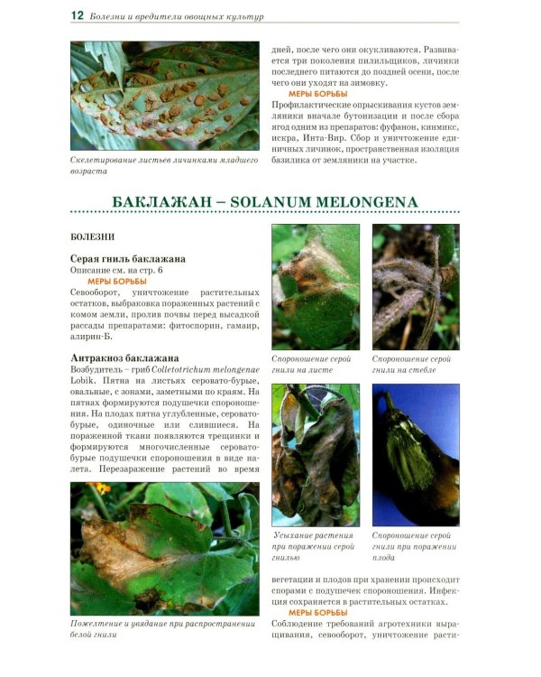 Болезни и вредители овощных культур. Атлас-определитель