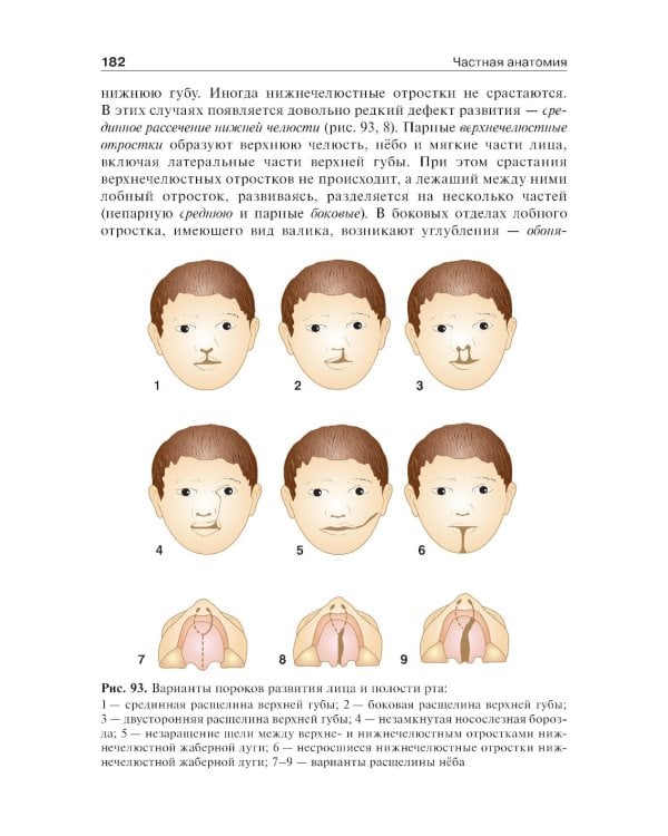 Анатомия человека: Учебник. В 2 т.  5-е изд., доп. и перераб