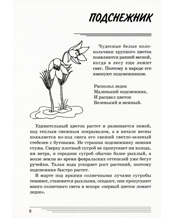 Цветы. Какие они? Книга для воспитателей, гувернеров и родителей