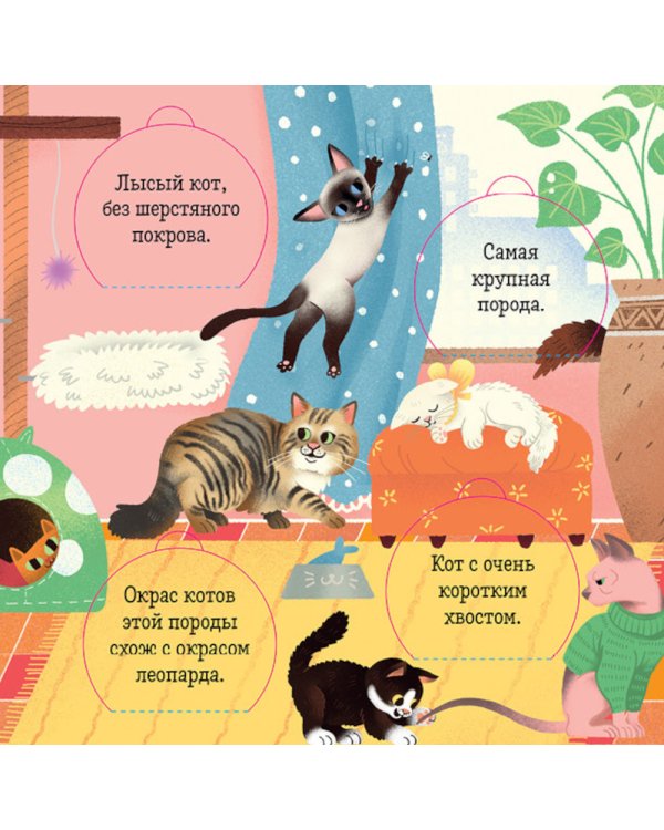 Любимые животные. Энциклопедия с окошками