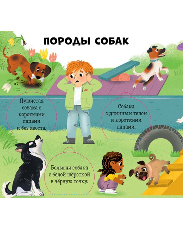 Любимые животные. Энциклопедия с окошками