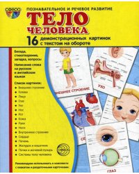 Демонстрационные картинки. Тело человека: 16 демонстрационных картинок с текстом