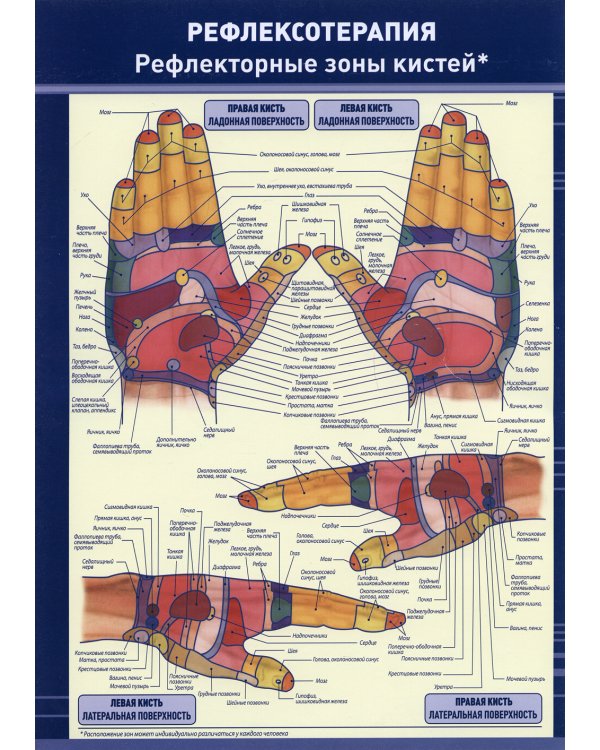 Плакат "Рефлексотерапия. Рефлекторные зоны кистей". Полноцветный, двустронний. Формат А4