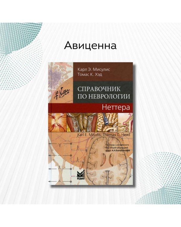 Справочник по неврологии Неттера